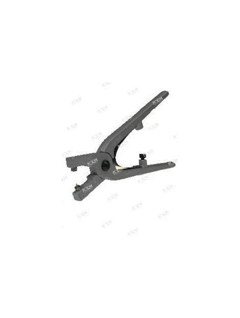 Pinza