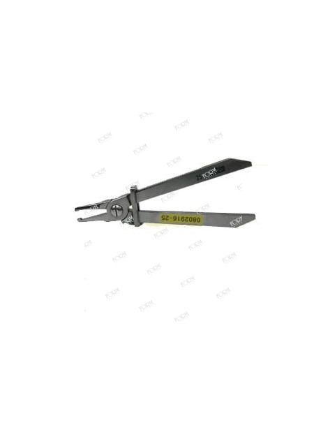 Pinza