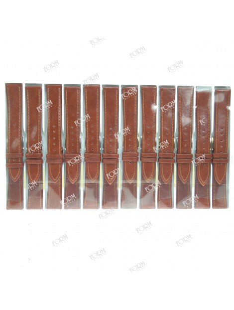 Cinturini in cartella 12 pezzi