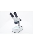 Microscopio 40 ingrandimenti