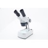 Microscopio 40 ingrandimenti
