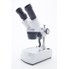 Microscopio 40 ingrandimenti