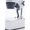 Microscopio 40 ingrandimenti