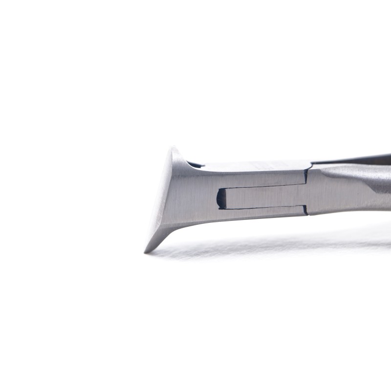 Pinza