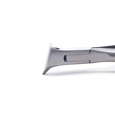 Pinza