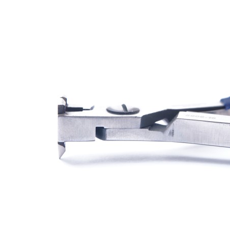 Pinza