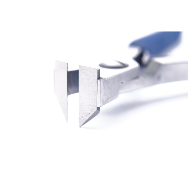 Pinza