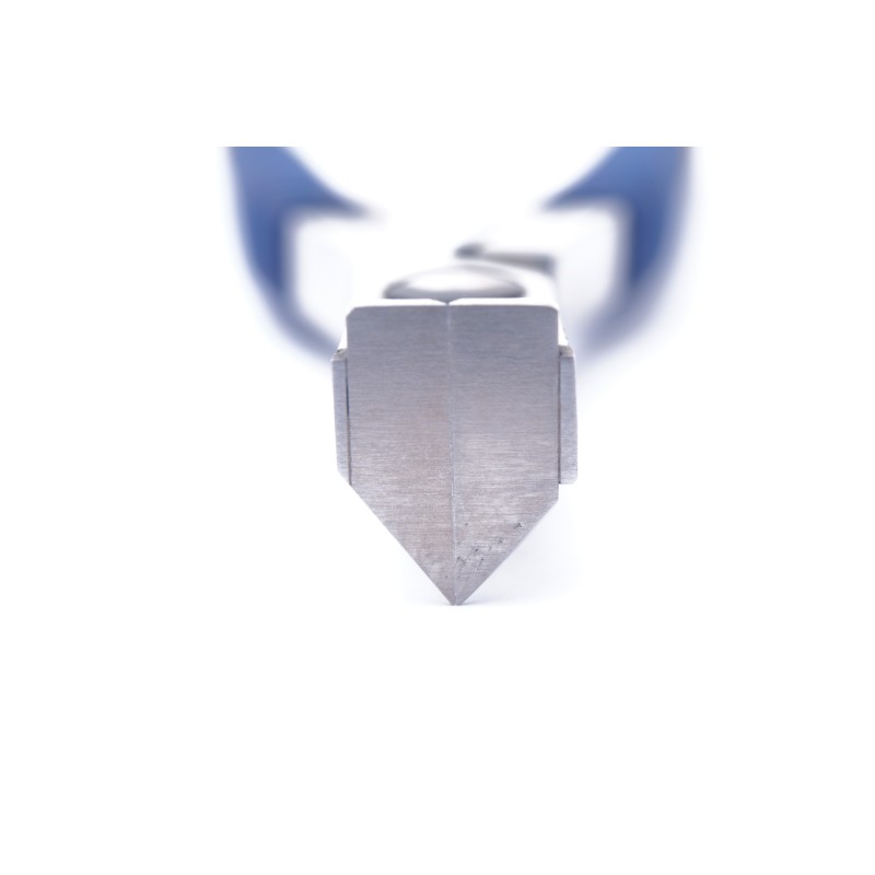 Pinza