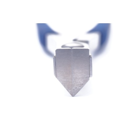 Pinza