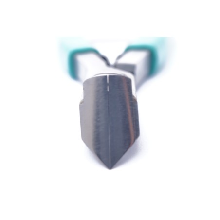 Pinza