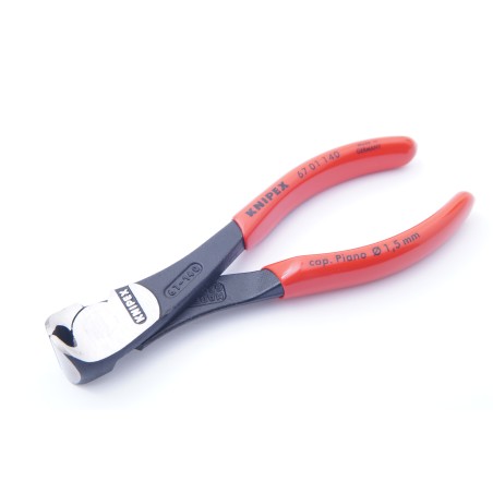 Pinza