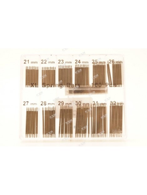 Ansette in assortimento da 100 pezzi