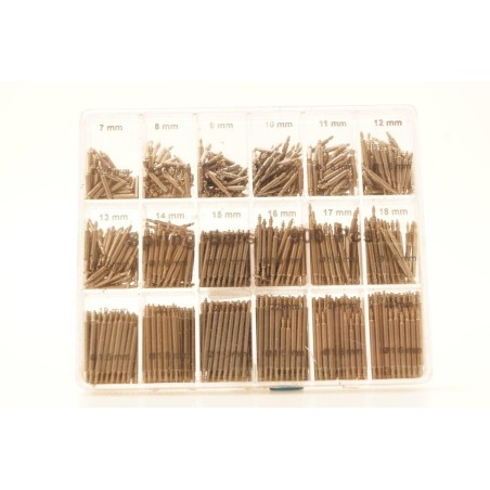 Assortimento ansette 900 pezzi