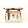 SANItize box