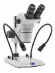 Microscopio