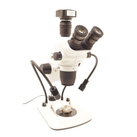 Microscopio