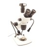 Microscopio