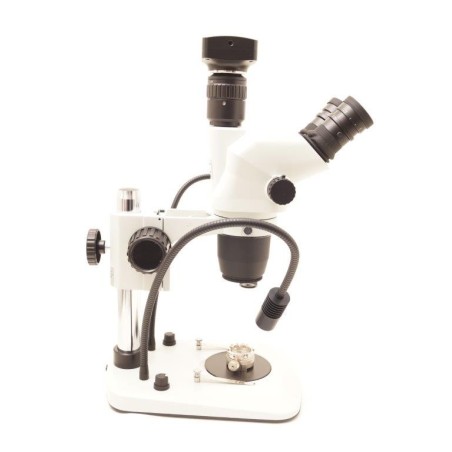 Microscopio