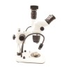 Microscopio