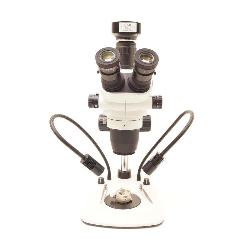 Microscopio