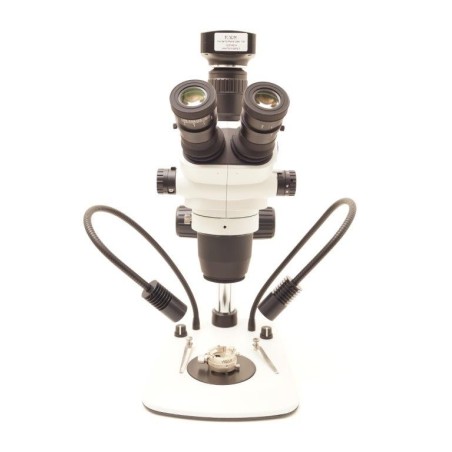 Microscopio