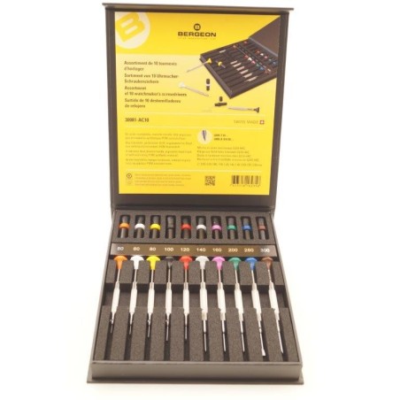 Assortimento di 10 cacciaviti in acciaio inox