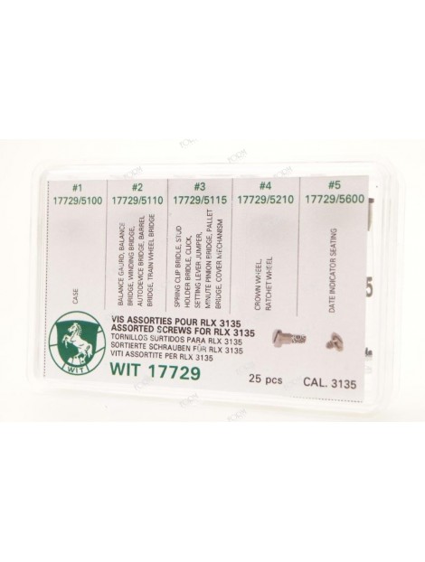 Assortimento viti per RLX 3135