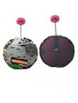 Movimento Citizen E031